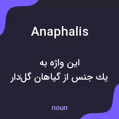 معنی anaphalis به فارسی معنی anaphalis به فارسی