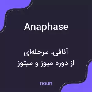معنی anaphase به فارسی معنی anaphase به فارسی