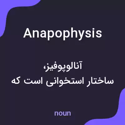 معنی anapophysis به فارسی معنی anapophysis به فارسی