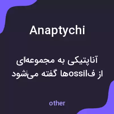 معنی anaptychi به فارسی معنی anaptychi به فارسی