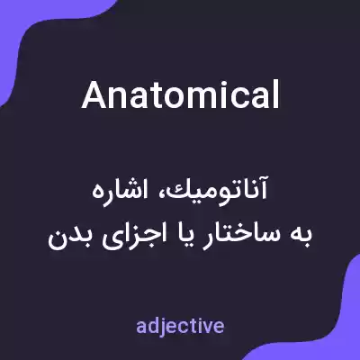 معنی anatomical به فارسی معنی anatomical به فارسی