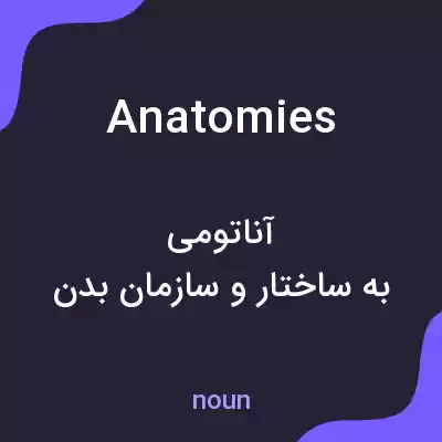 معنی anatomies به فارسی معنی anatomies به فارسی