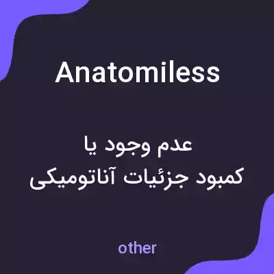 معنی anatomiless به فارسی معنی anatomiless به فارسی