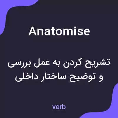 معنی anatomise به فارسی معنی anatomise به فارسی