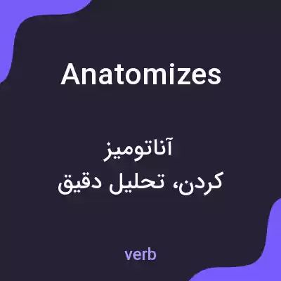 معنی anatomizes به فارسی