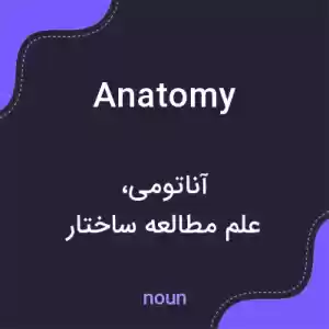 معنی anatomy به فارسی معنی anatomy به فارسی