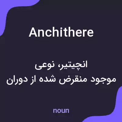 معنی anchithere به فارسی معنی anchithere به فارسی