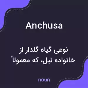 معنی anchusa به فارسی معنی anchusa به فارسی