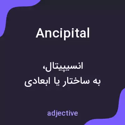معنی ancipital به فارسی معنی ancipital به فارسی