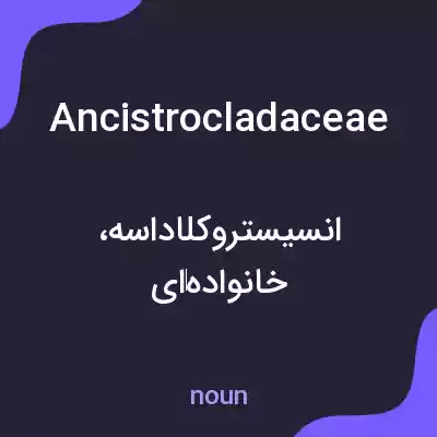 معنی ancistrocladaceae به فارسی معنی ancistrocladaceae به فارسی