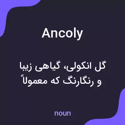 معنی ancoly به فارسی معنی ancoly به فارسی