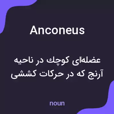 معنی anconeus به فارسی معنی anconeus به فارسی
