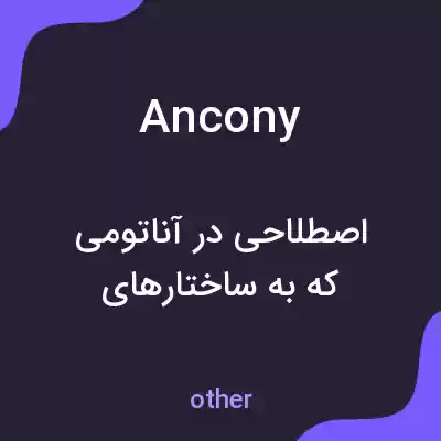 معنی ancony به فارسی معنی ancony به فارسی