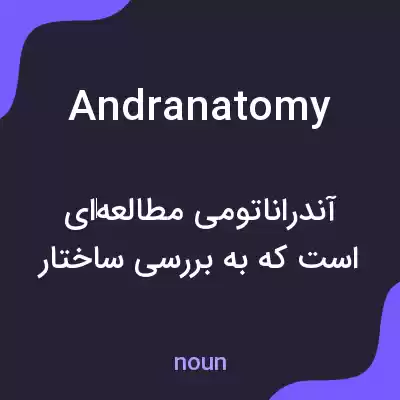 معنی andranatomy به فارسی معنی andranatomy به فارسی