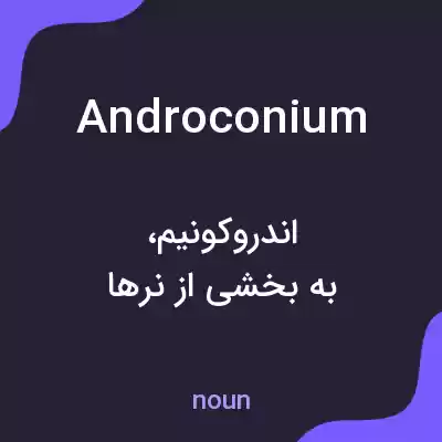 معنی androconium به فارسی معنی androconium به فارسی
