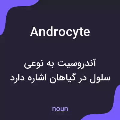 معنی androcyte به فارسی معنی androcyte به فارسی