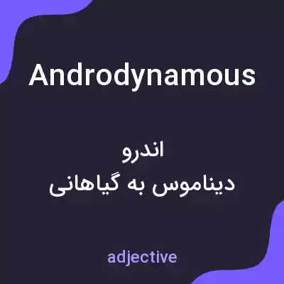 معنی androdynamous به فارسی معنی androdynamous به فارسی