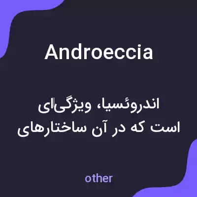 معنی androeccia به فارسی معنی androeccia به فارسی