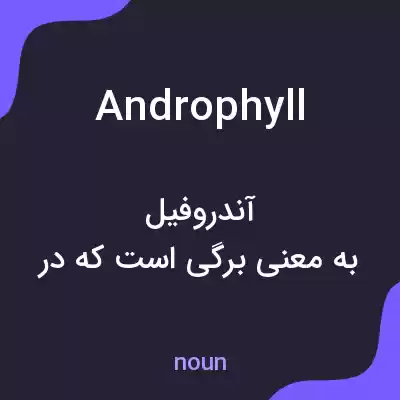 معنی androphyll به فارسی معنی androphyll به فارسی