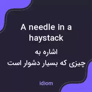 معنی a needle in a haystack به فارسی معنی a needle in a haystack به فارسی