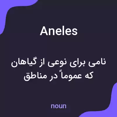 معنی aneles به فارسی معنی aneles به فارسی