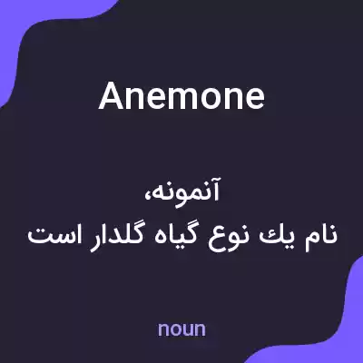 معنی anemone به فارسی معنی anemone به فارسی