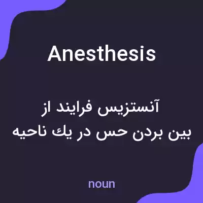 معنی anesthesis به فارسی