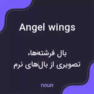 معنی angel wings به فارسی معنی angel wings به فارسی