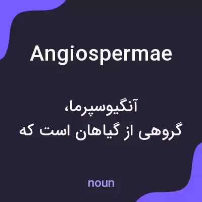 معنی angiospermae به فارسی معنی angiospermae به فارسی