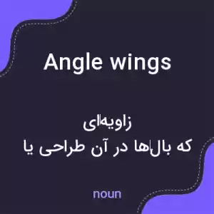 معنی angle wings به فارسی معنی angle wings به فارسی