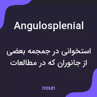 معنی angulosplenial به فارسی