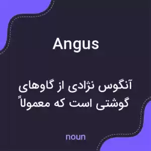 معنی angus به فارسی معنی angus به فارسی