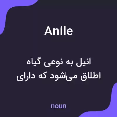 معنی anile به فارسی معنی anile به فارسی