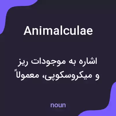 معنی animalculae به فارسی معنی animalculae به فارسی