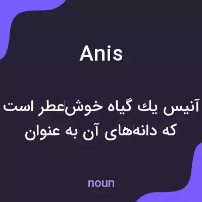 معنی anis به فارسی معنی anis به فارسی
