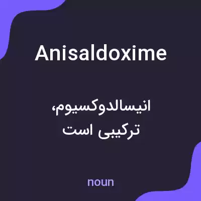 معنی anisaldoxime به فارسی معنی anisaldoxime به فارسی