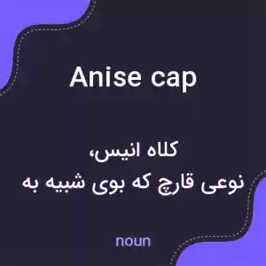 معنی anise cap به فارسی معنی anise cap به فارسی