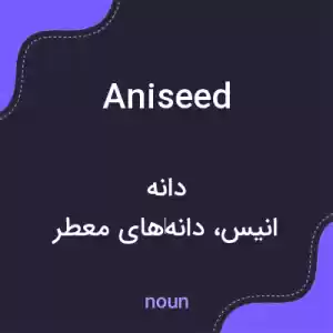 معنی aniseed به فارسی معنی aniseed به فارسی