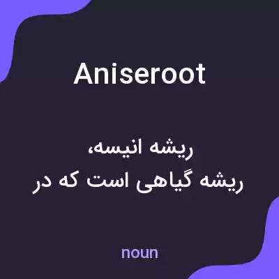 معنی aniseroot به فارسی معنی aniseroot به فارسی