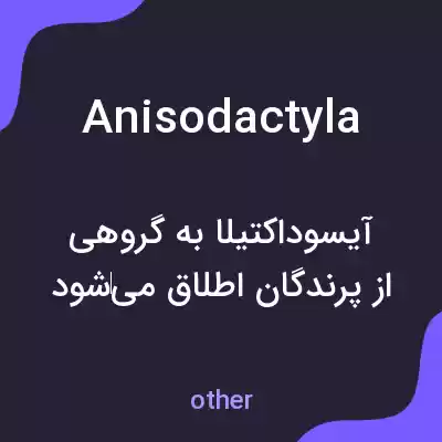 معنی anisodactyla به فارسی معنی anisodactyla به فارسی