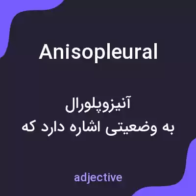 معنی anisopleural به فارسی معنی anisopleural به فارسی