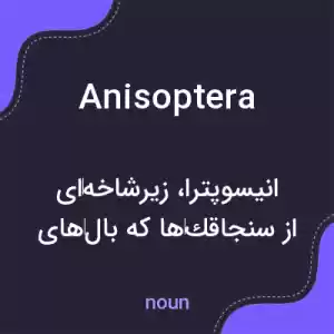 معنی anisoptera به فارسی معنی anisoptera به فارسی