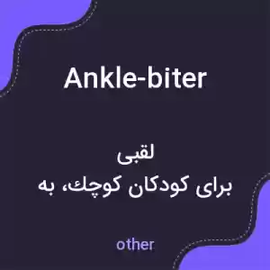 معنی ankle-biter به فارسی معنی ankle-biter به فارسی
