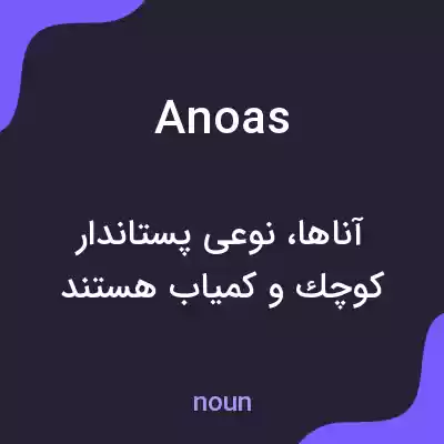 معنی anoas به فارسی معنی anoas به فارسی