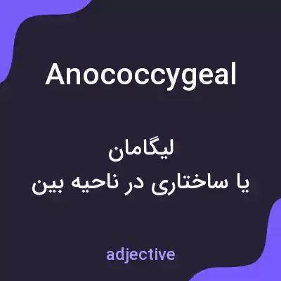 معنی anococcygeal به فارسی معنی anococcygeal به فارسی