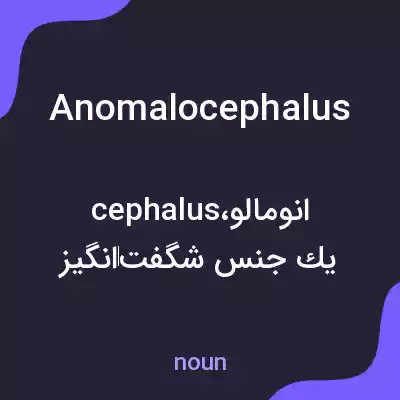 معنی anomalocephalus به فارسی معنی anomalocephalus به فارسی