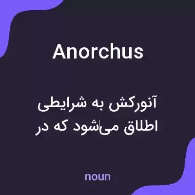 معنی anorchus به فارسی معنی anorchus به فارسی