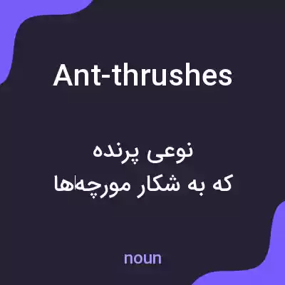 معنی ant-thrushes به فارسی معنی ant-thrushes به فارسی
