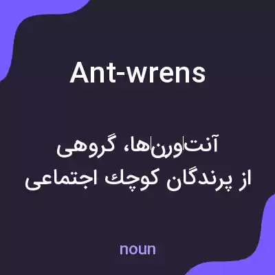 معنی ant-wrens به فارسی معنی ant-wrens به فارسی