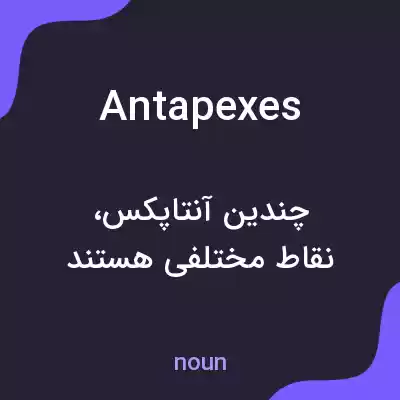 معنی antapexes به فارسی معنی antapexes به فارسی